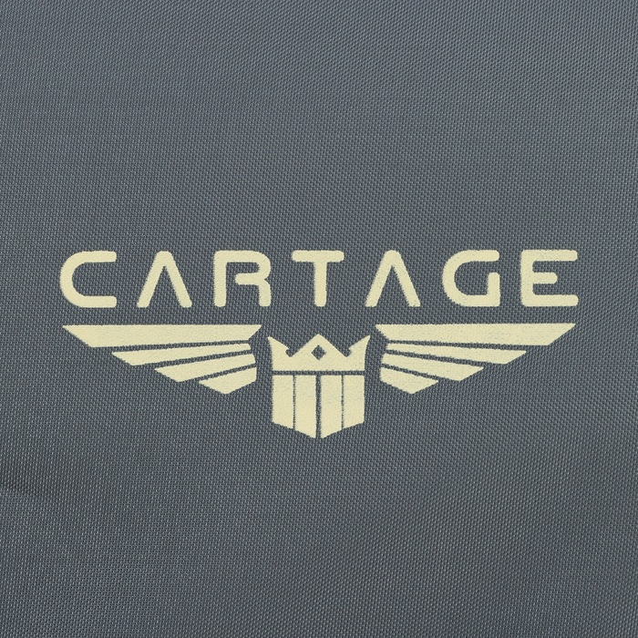 Термосумка Cartage Т-15, серая, 10 л, 26х19х19 см