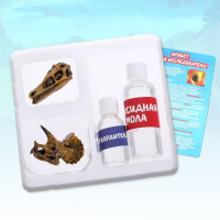 Игровой набор «Эпоха динозавров», 2 артефакта, с эпоксидной смолой Игровой набор «Эпоха динозавров», 2 артефакта, с эпоксидной смолой