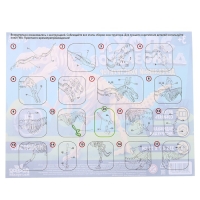 Деревянный конструктор &laquo;Скелет Тираннозавра&raquo;