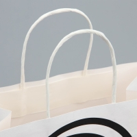 Пакет подарочный, упаковка, &laquo;С Дэ Рэ&raquo;, 22 х 22 х 11 см