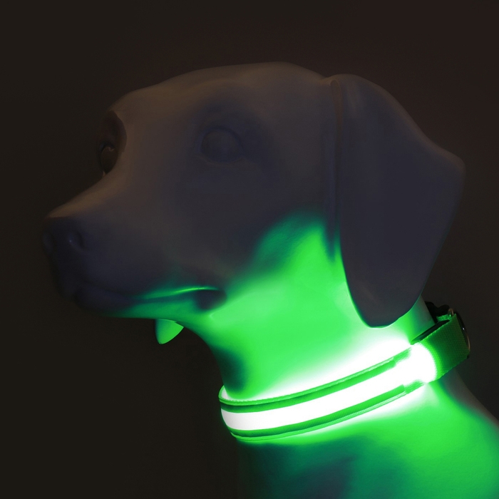 Ошейник с подсветкой Двойная полоса размер S, ОШ 35-43 х 2,5 см, 3 режима свечения зелёный