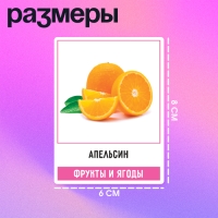 Развивающий набор &laquo;200 слов&raquo;, учимся и развиваемся, по методике Глена Домана