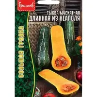 Семена Тыква Длинная из Неаполя мускатная  (Lunga Di Napoli)  4 шт. / НОВИНКА 12.29 г.