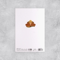 Набор открыток &laquo;На все случаи жизни&raquo;, 20 шт, 12 &times; 18 см