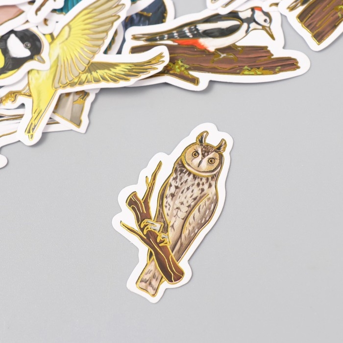 Наклейки для творчества Наклейки для творчества "Городские и лесные птицы" тиснение золото набор 48 шт 9х7х0,8 см