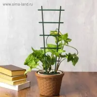 Шпалера, 56&times;19&times;0.5 см, пластик, цвет МИКС, &laquo;Лесенка&raquo;