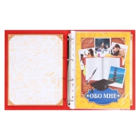 Папка школьная на кольцах &laquo;Портфолио школьника&raquo;, 13 листов-разделителей, 24,5 х 32 см.