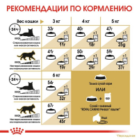 Сухой корм RC Persian для персидских кошек, 2 кг