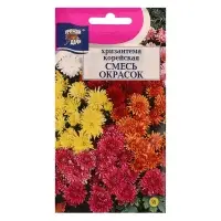 Набор семян Хризантема Корейская, низкорослая смесь, 5 шт.