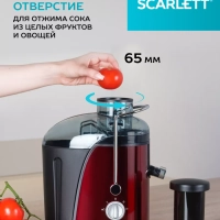 Центробежная соковыжималка SC-JE50S15