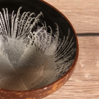 Чаша "Черепаха" 14х14х6 см, кокос