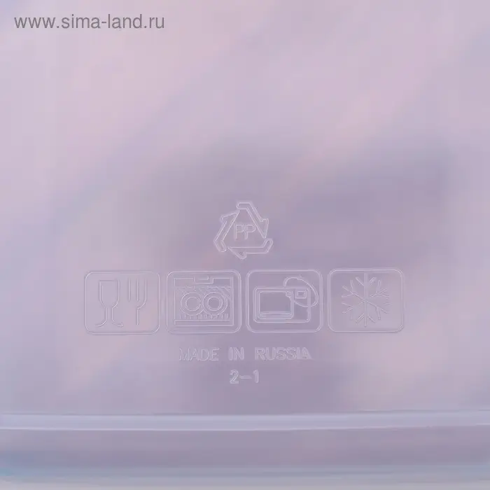 Контейнер пищевой Good & Good, 500 мл с герметичной крышкой