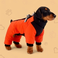 Комбинезон "Тренд", оксфорд, 2XL (ДС 43, ОШ 41, ОГ 53 см, вес 16-20 кг), оранжевый