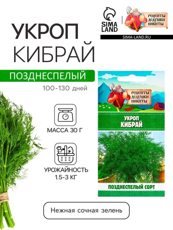 Семена Укроп "Кибрай", 1 г