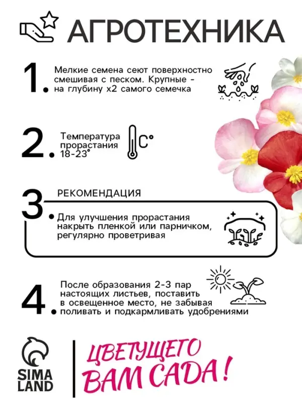 Семена  цветов Бегония вечноцветущая "Сенатор F1", смесь, О, 10 шт