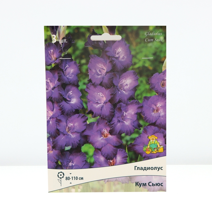 Гладиолус крупноцветковый &laquo;Кум Сьюс&raquo;, луковица цветов в пакете с перфорацией, р-р 10/12, 3 шт.