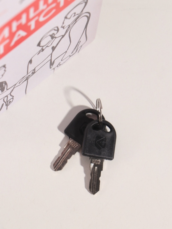 Сейф-книга дерево кожзам "Принципы богатства" тиснение 21х13х5 см