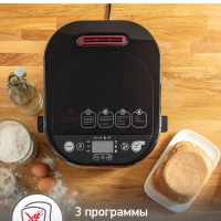 Хлебопечка Pain & Plaisir OW220830, черный, 720 Вт