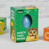 Растущие животные в яйце &laquo;Сова&raquo; МИКС