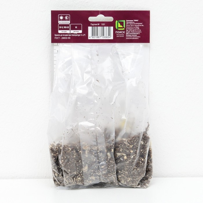 Ирис бородатый "Кантина ", 1 шт, р-р I, Весна 2025