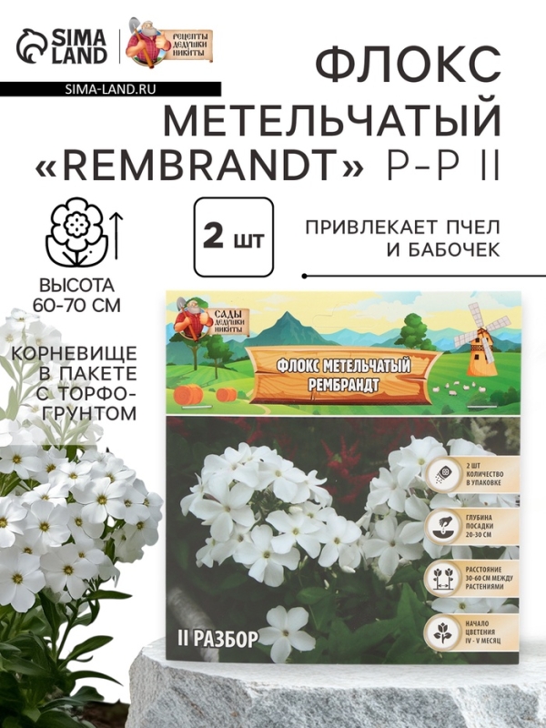 Флокс метельчтый Rembrandt корневище в пакете с торфогрунтом, р-р II, 2 шт.