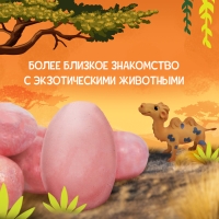 Набор для раскопок &laquo;Мир зверей&raquo;