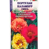 Семена Портулак Каламбур, смесь махровый /Сотка/ 0,1 г/*1500