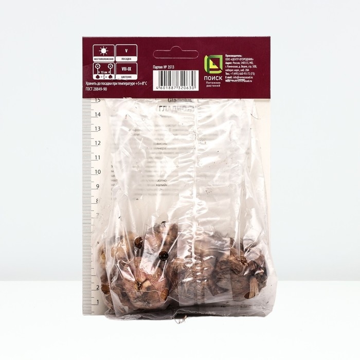 Гладиолус крупноцветковый &laquo;Астарта&raquo;, луковица цветов в пакете с перфорацией, р-р 10/12, 10 шт.