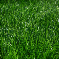Газон искусственный, для спорта, ворс 50 мм, 2 &times; 5 м, зелёный, Greengo
