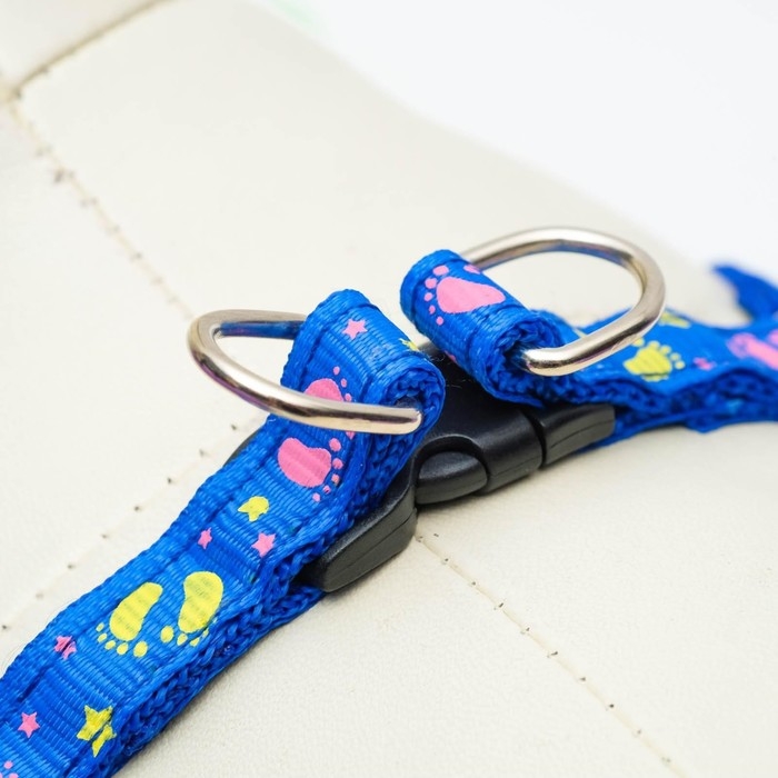 Шлейка с поводком &laquo;Цветные следы&raquo;, 23-35 см, ширина 1 см, поводок 120 см, синяя