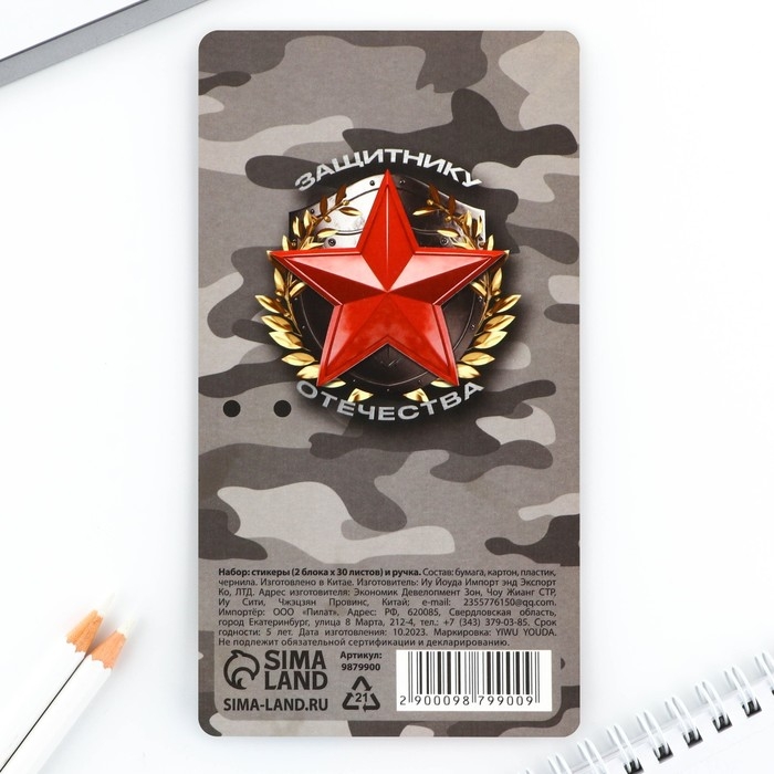 Подарочный набор стикеры и ручка &laquo;23 февраля&raquo;, 2 х 30 л, синяя паста 0.7 мм