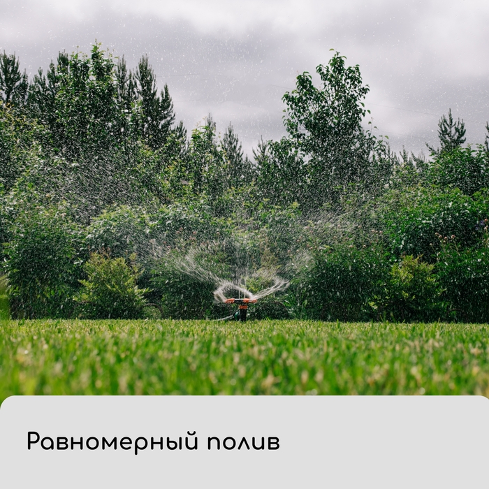 Распылитель 3-лепестковый, под коннектор, пика, пластик, «Жук» Распылитель 3-лепестковый, под коннектор, пика, пластик, «Жук»