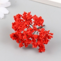 Искусственное растение для творчества пластик "Красный клён" 6х7,3 см