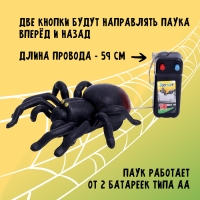 Животное &laquo;Паук&raquo;, на дистанционном управлении, работает от батареек, цвета МИКС