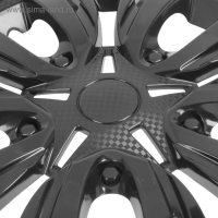 Колпаки колесные R16 "ЛИОН", черный глянец, набор 4 шт Колпаки колесные R16 "ЛИОН", черный глянец, набор 4 шт