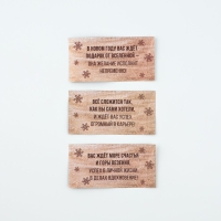 Новогодние пожелания в бутылке &laquo;Новый год: Твое волшебное предсказание&raquo;, 15 свитков, 12х5см