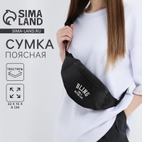 Сумка поясная Bling for a better life, 32х8х15 см, отдел на молнии, наружный карман, белый Сумка поясная Bling for a better life, 32х8х15 см, отдел на молнии, наружный карман, белый