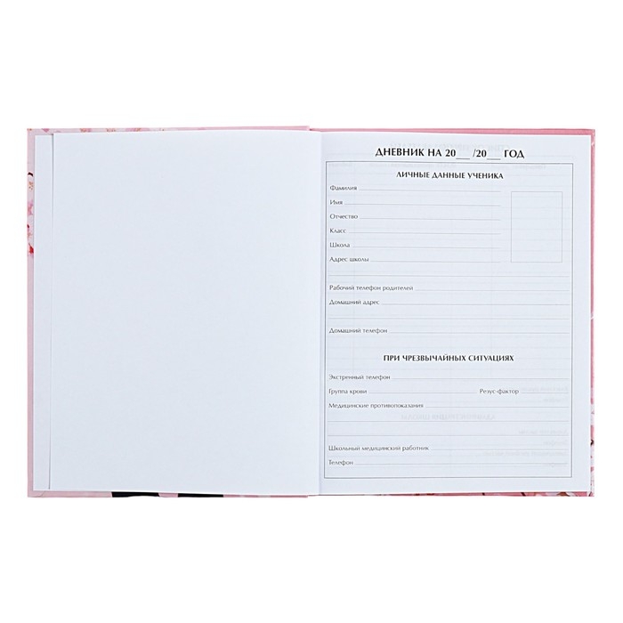 Дневник универсальный для 1-11 классов "Аниме. Нежная девочка", твёрдая обложка, глянцевая ламинация, 40 листов