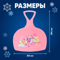 Ледянка «Единорог» Ледянка «Единорог»