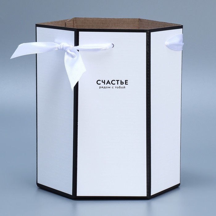 Переноска складная шестигранник &laquo;Счастье&raquo;, 17 &times; 14,8 &times; 19,5 см