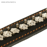 Ошейник кожаный на синтепоне "Ёж", 69 х 3.6 см, ОШ 45-60 см, чёрный Ошейник кожаный на синтепоне "Ёж", 69 х 3.6 см, ОШ 45-60 см, чёрный