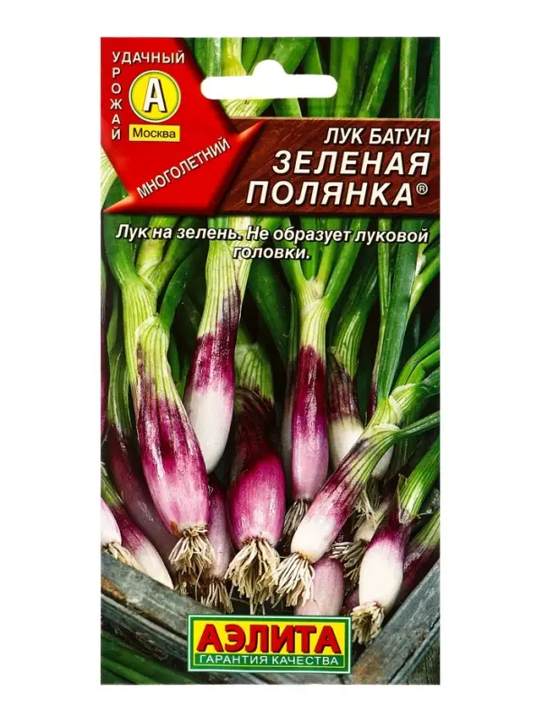 Семена Лук батун Зеленая полянка Мн, Ц/П,0,3 г