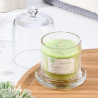 Свеча ароматическая в банке "Dome", лайм, базилик и цитрус Свеча ароматическая в банке "Dome", лайм, базилик и цитрус