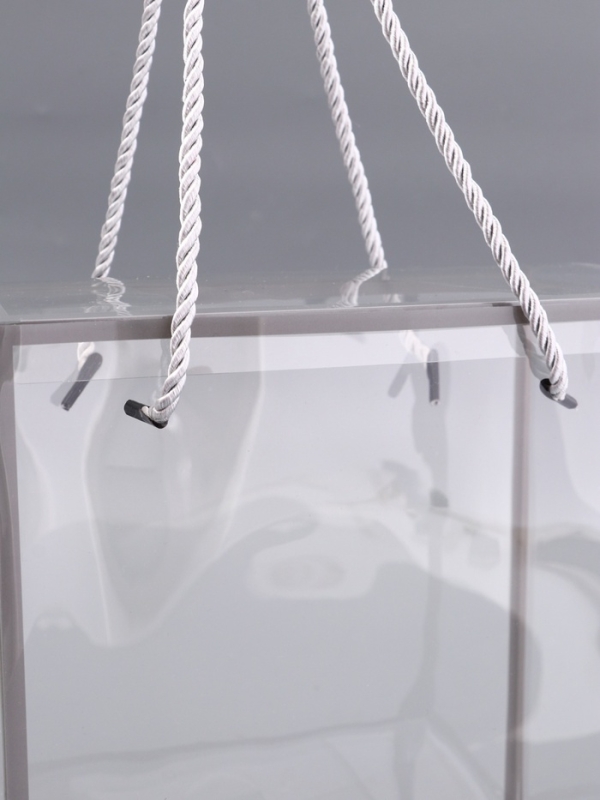 Коробка из PET с ручками, серебрянная, 20 х 20 х 9 см