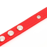 Ошейник для животных