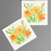 Салфетки бумажные Гармония цвета многоцветие "Нарциссы желтые", 24*24 см 50 листов
