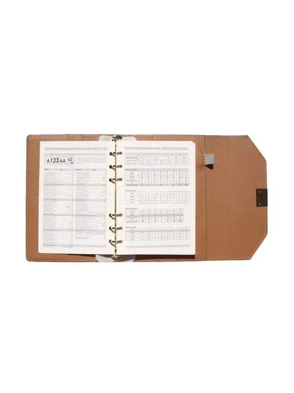 Органайзер на кольцах, C6, с клапаном, 80л, линия, к/зам, Черный