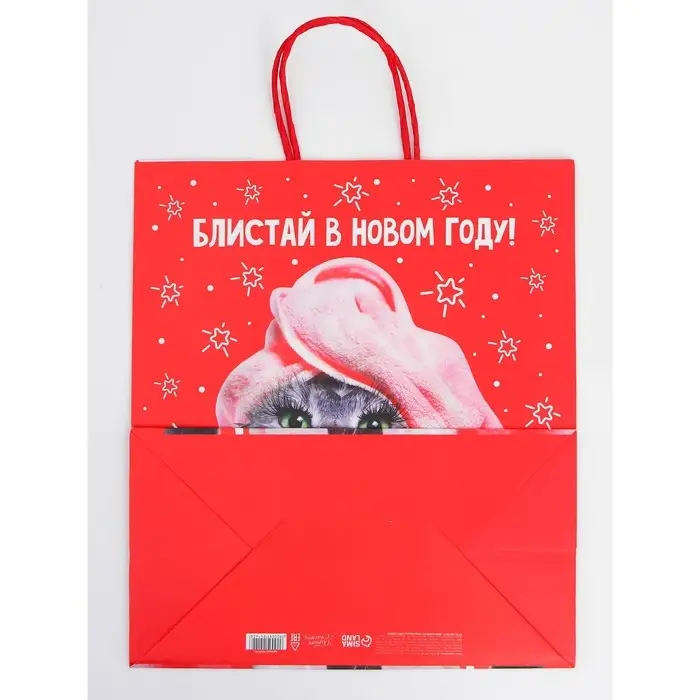 Набор новогодних крафтовых пакетов &laquo;С Новым годом тебя!&raquo;