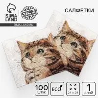Салфетки бумажные однослойные &laquo;Котёнок&raquo;, набор 100 штук, 24 &times; 24 см