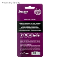 Ароматизатор в машину Luazon &laquo;ABCDEFUCKOFF&raquo;, аромат чёрный лёд